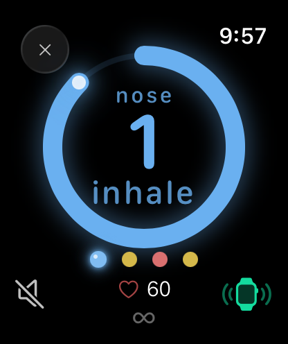 The ring on the wrist, breathing in through the nose, with heart rate below
